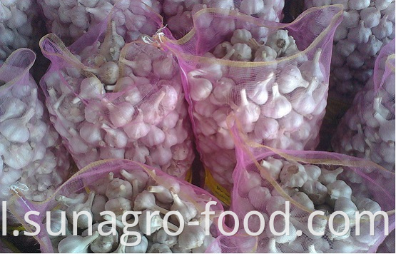 Bagged White Garlic